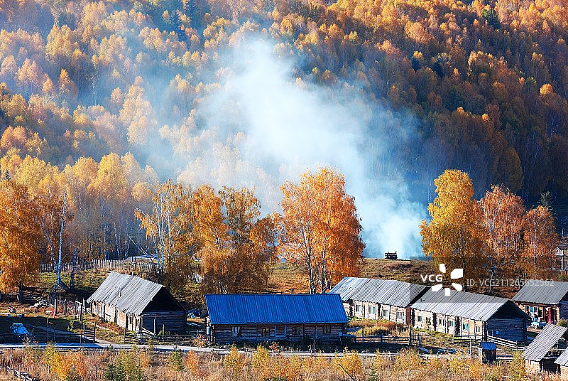 秋到禾木图片素材