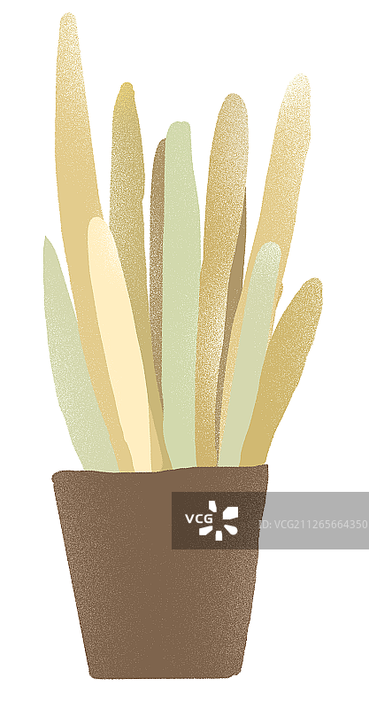 高雅的兰花图片素材