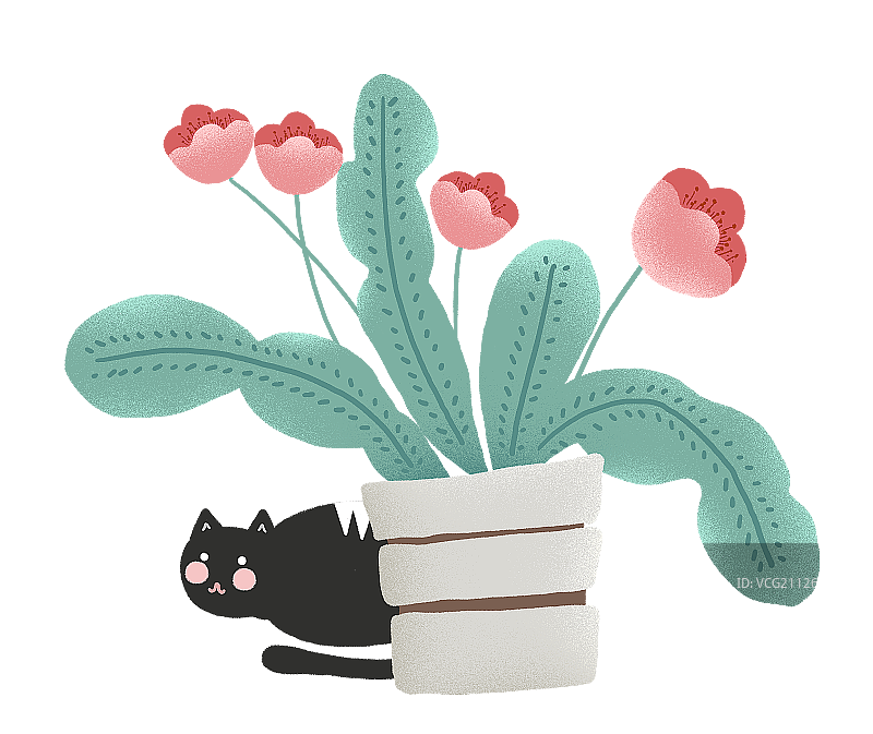 盛开的花与猫图片素材