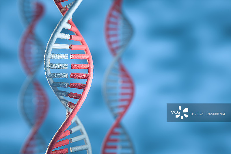 三维DNA基因分子结构模型特写图片素材