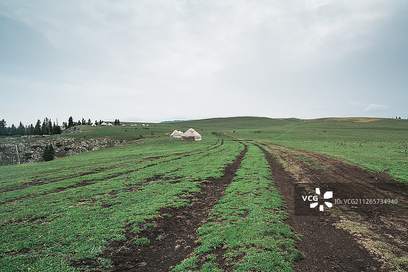 新疆牧场公路-汽车广告背景图图片素材