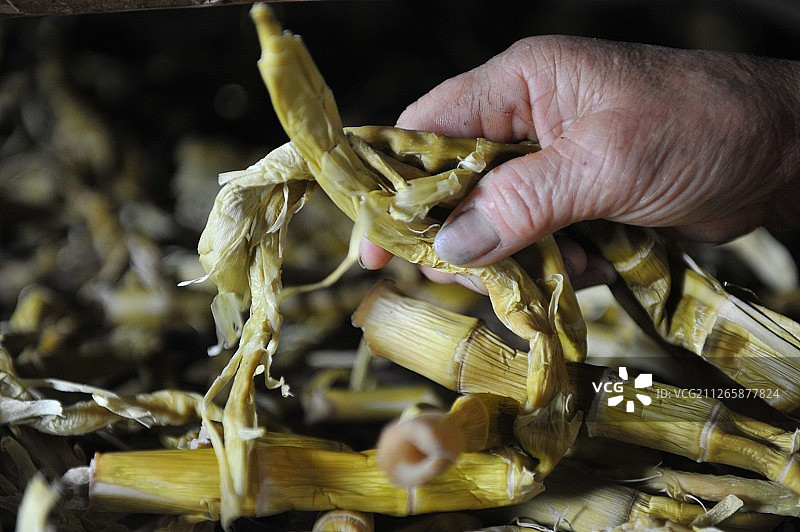 拿着笋干的手图片素材
