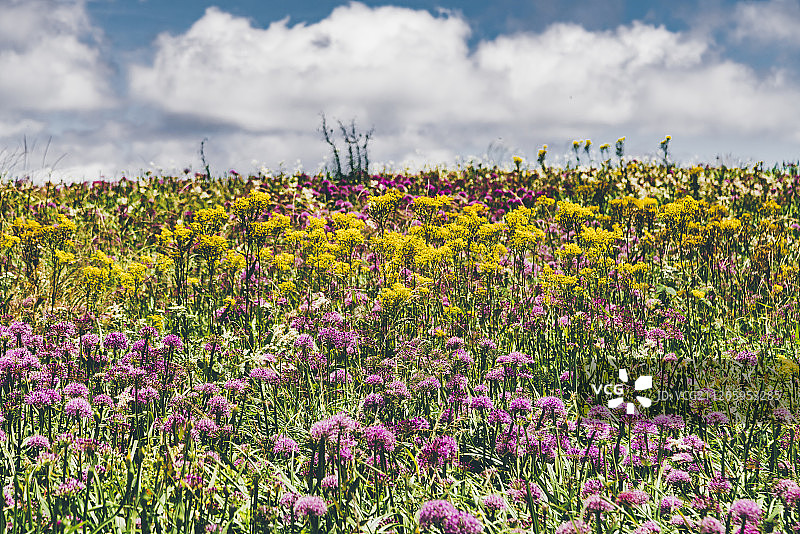 贵州韭菜坪风景图片素材