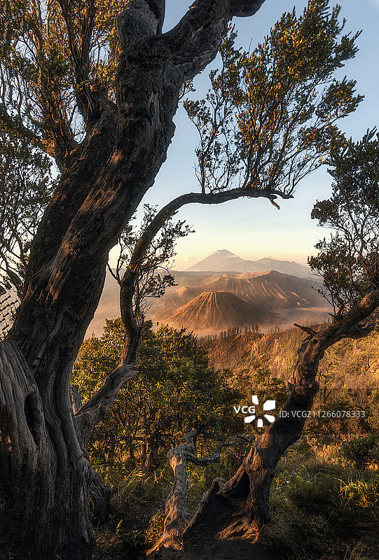 印尼-bromo火山图片素材