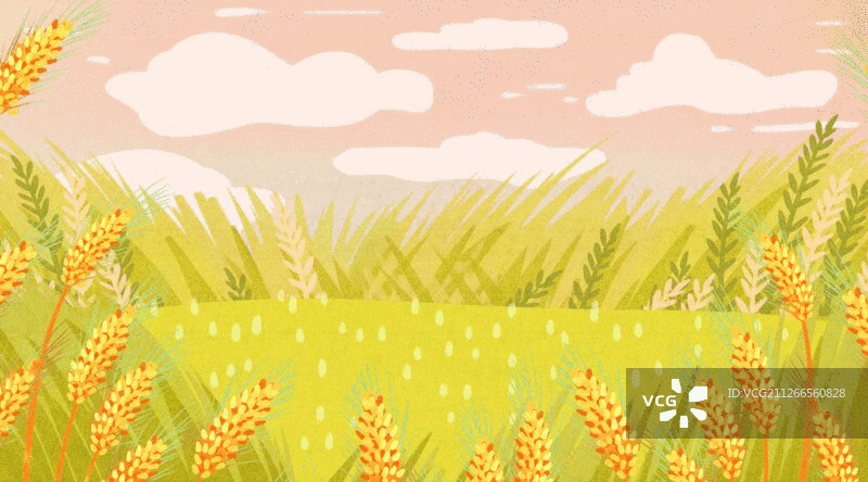 秋天黄色的麦田插画GIF动图图片素材