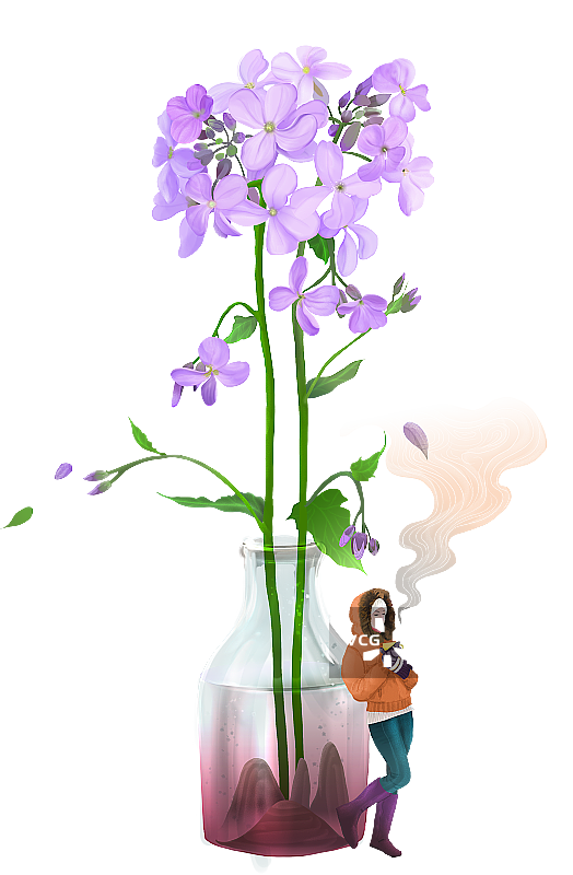 紫罗兰花与女人2图片素材