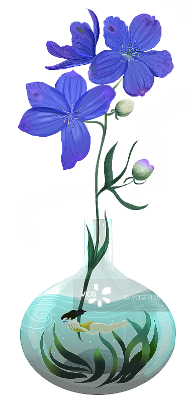 飞燕草花图片素材