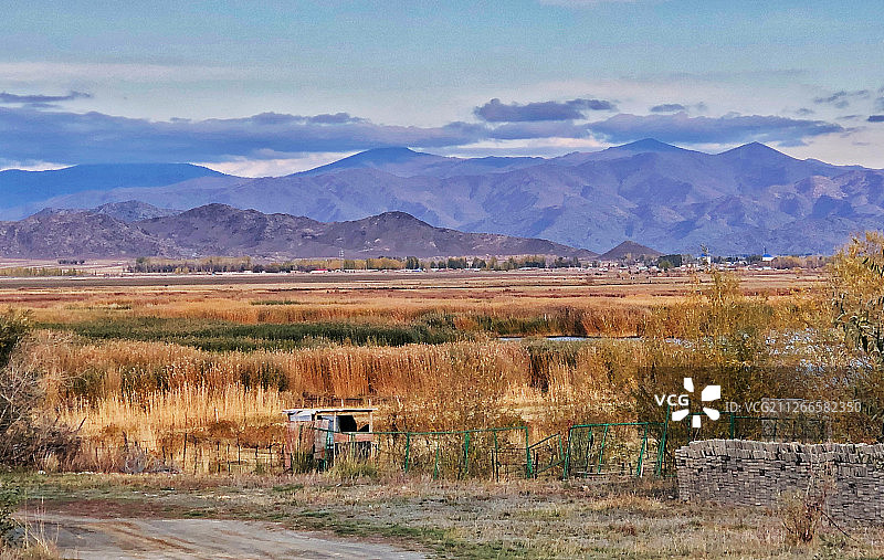 可可苏里图片素材