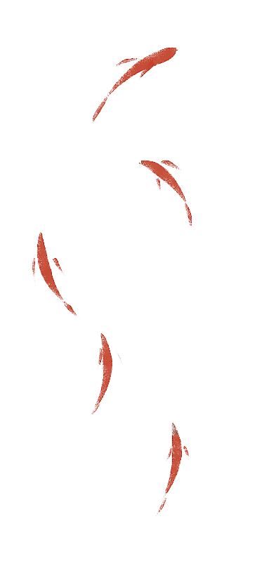 红色的鲤鱼插画元素图片素材