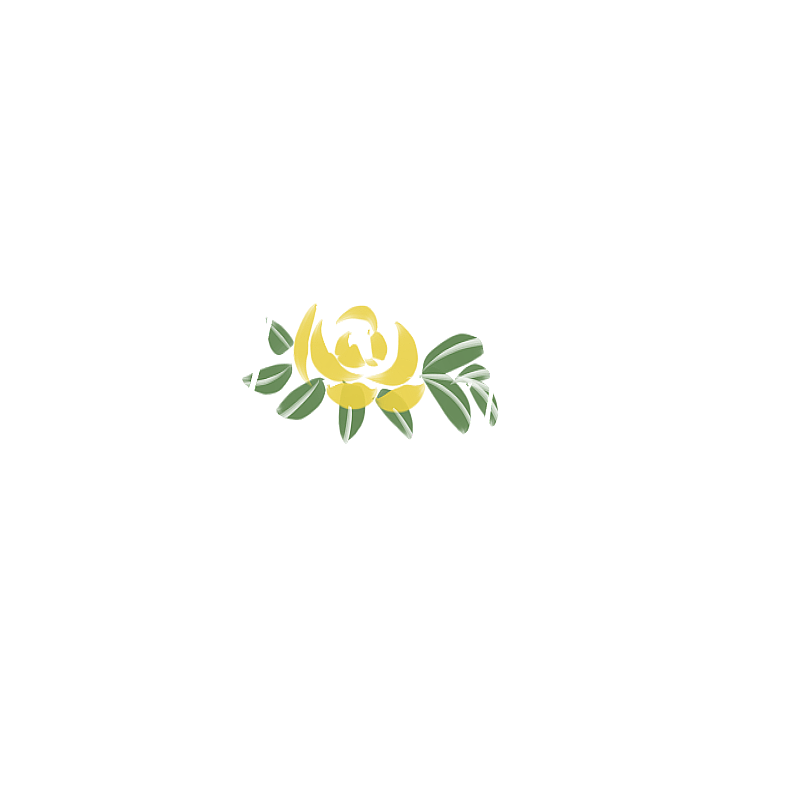 黄色玫瑰花植物插画元素图片素材