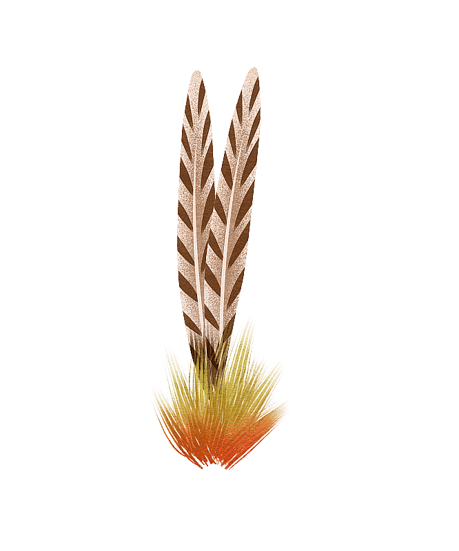 棕色的羽毛头饰插画元素图片素材