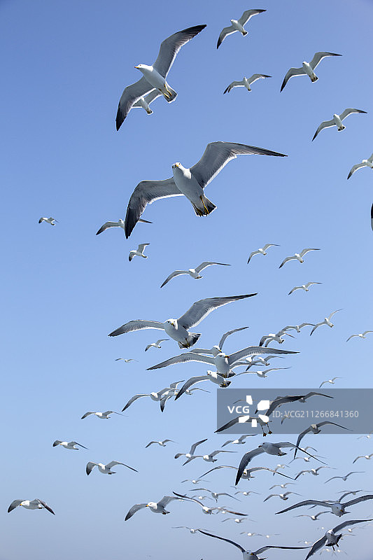 长岛万岛岛图片素材