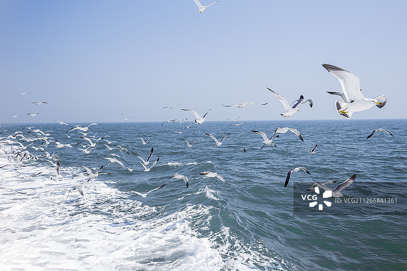 长岛万岛岛图片素材