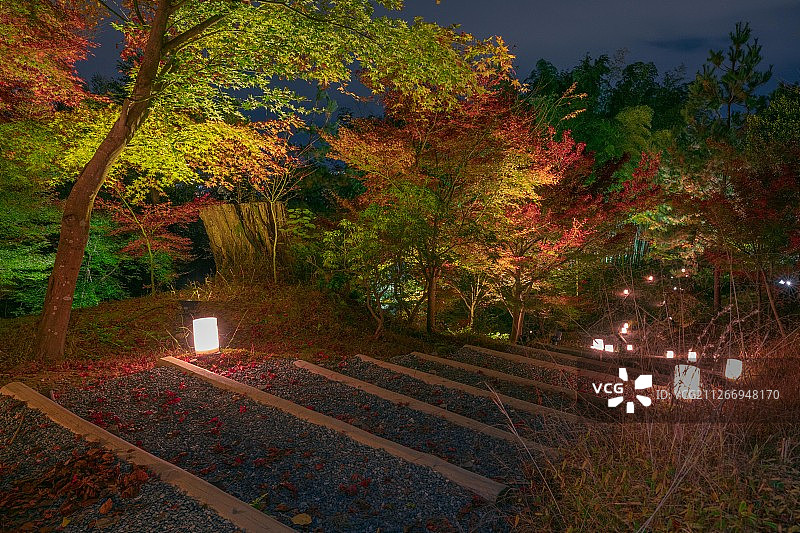日本京都秋天枫叶季节高台寺夜景图片素材