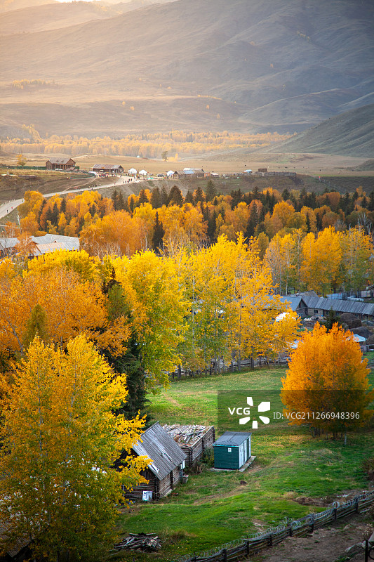 新疆喀纳斯景区白哈巴村图片素材