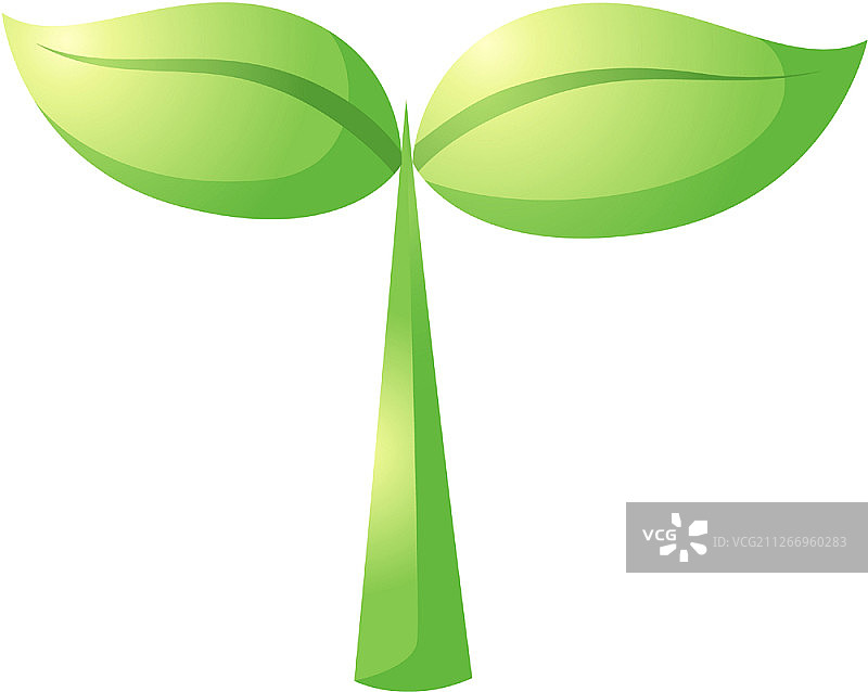 花蕾图标图片素材