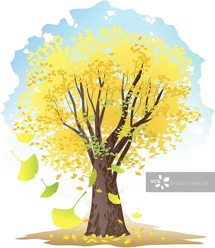 树的背景图片素材