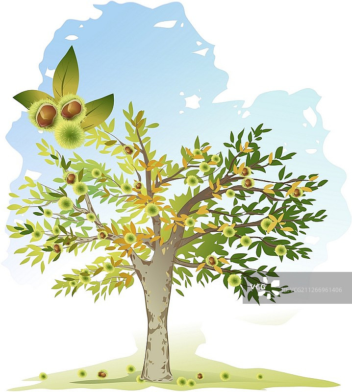 树的背景图片素材
