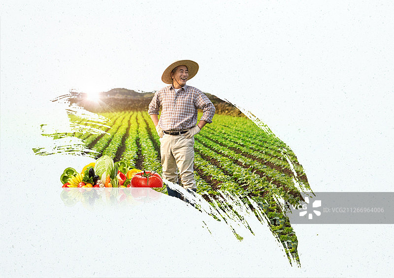 田野背景下的农民合成图图片素材