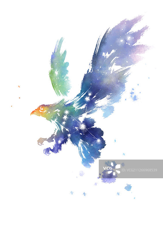 十二星座插画图片素材