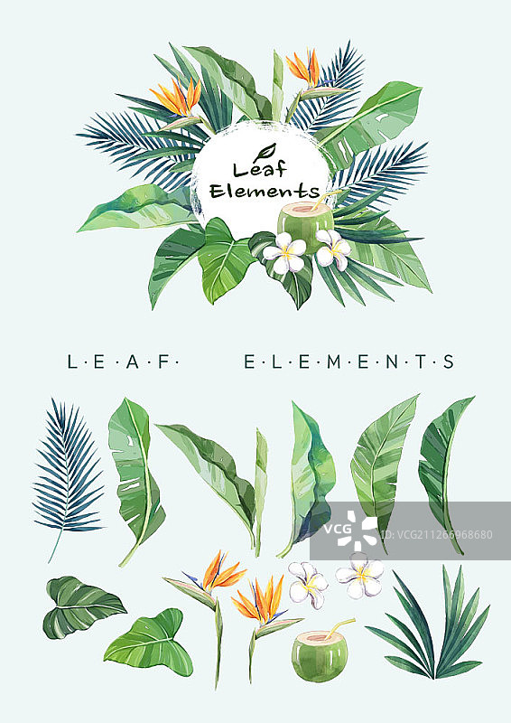 树叶元素合集图片素材