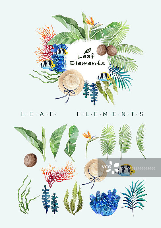 树叶元素合集图片素材