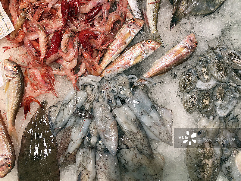 巴塞罗那著名的波盖利亚市场图片素材