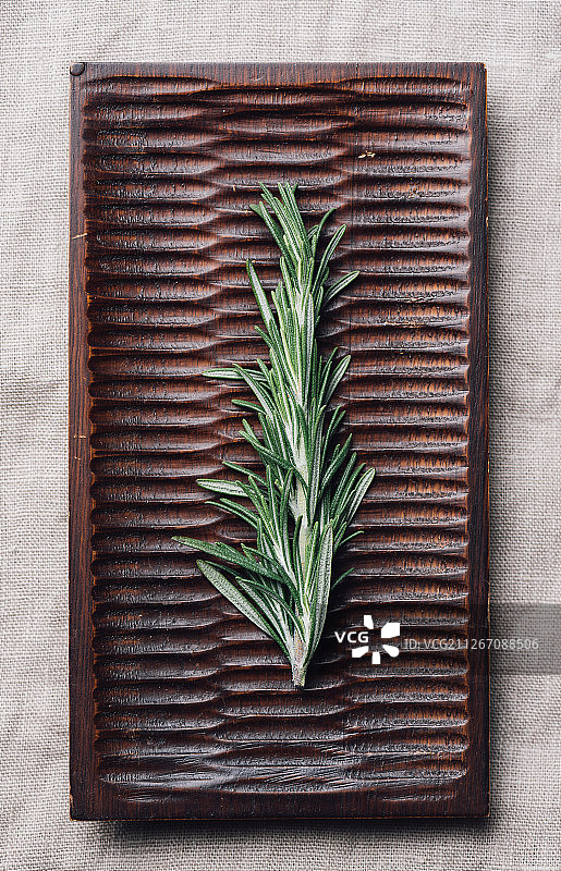 迷迭香图片素材