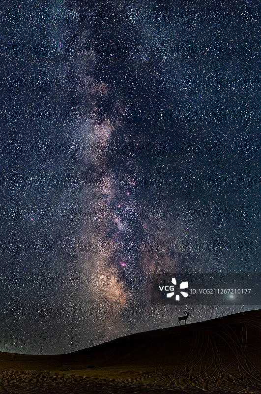 鹿王本生图片素材