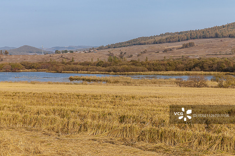 中国吉林敦化雁鸣湖湿地草地风光图片素材