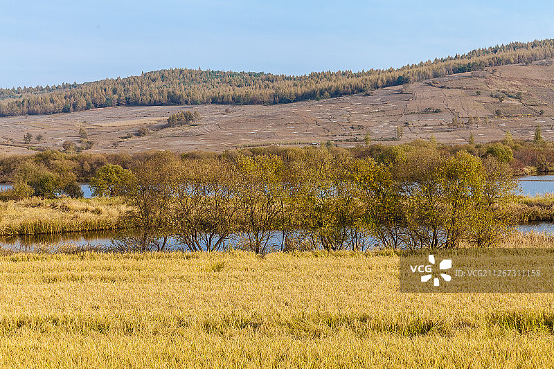 中国吉林敦化雁鸣湖湿地草地风光图片素材