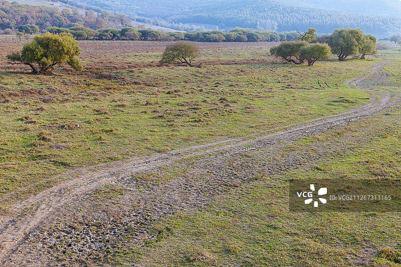 中国吉林敦化雁鸣湖湿地草地风光图片素材