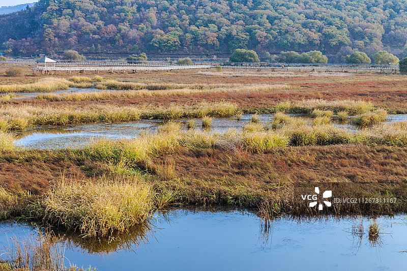 中国吉林敦化雁鸣湖湿地草地风光图片素材