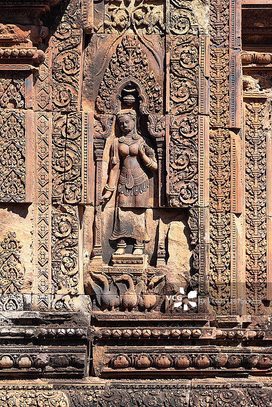 东方维纳斯图片素材