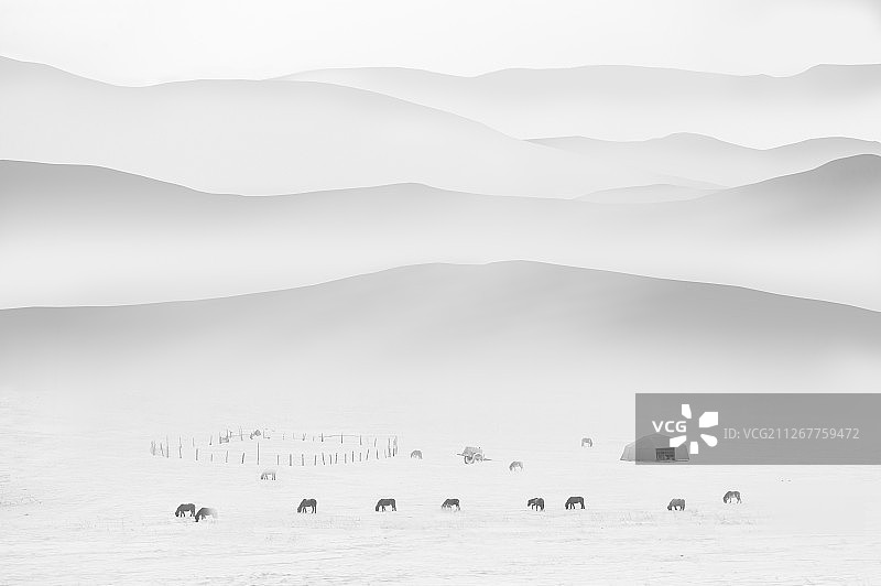 内蒙古草原的冬天图片素材