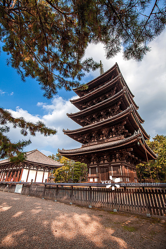 兴福寺图片素材