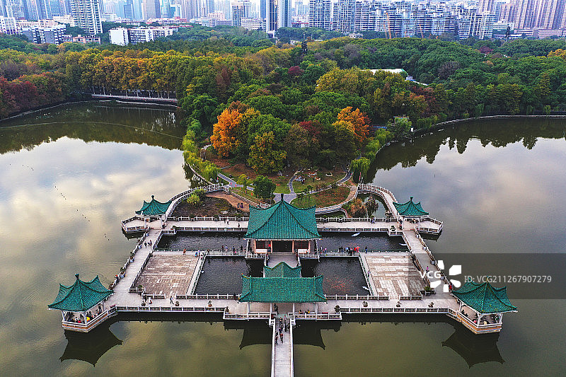 碧潭观鱼+湖北省武汉市武昌区东湖景区图片素材