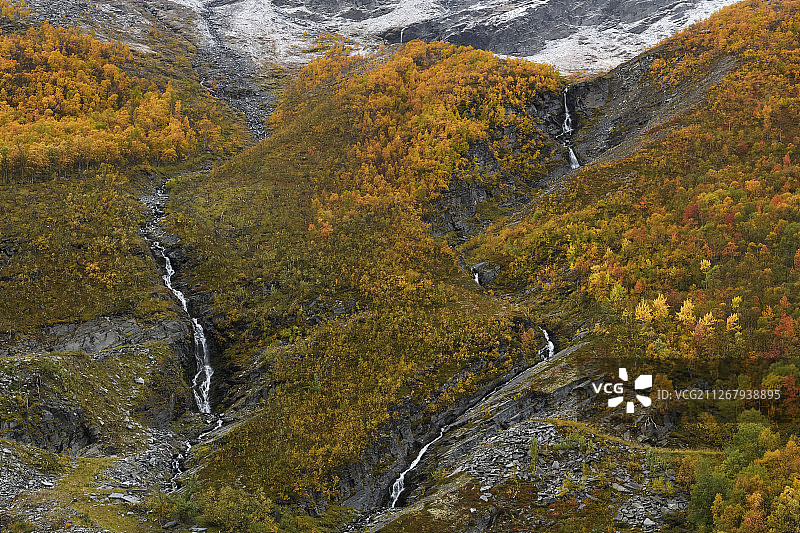 挪威多夫勒山国家公园的山地桦树秋色图片素材