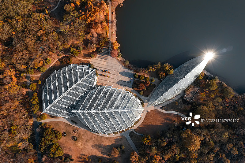 南京秋季植物园图片素材