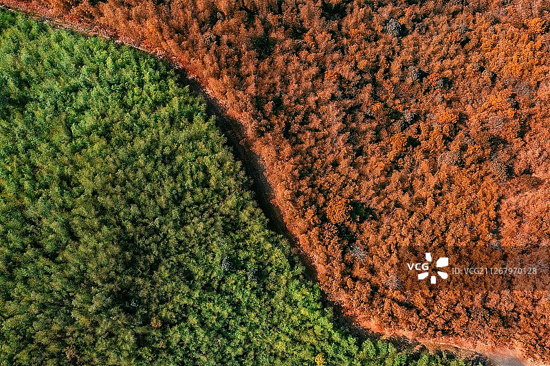 南京无想山图片素材