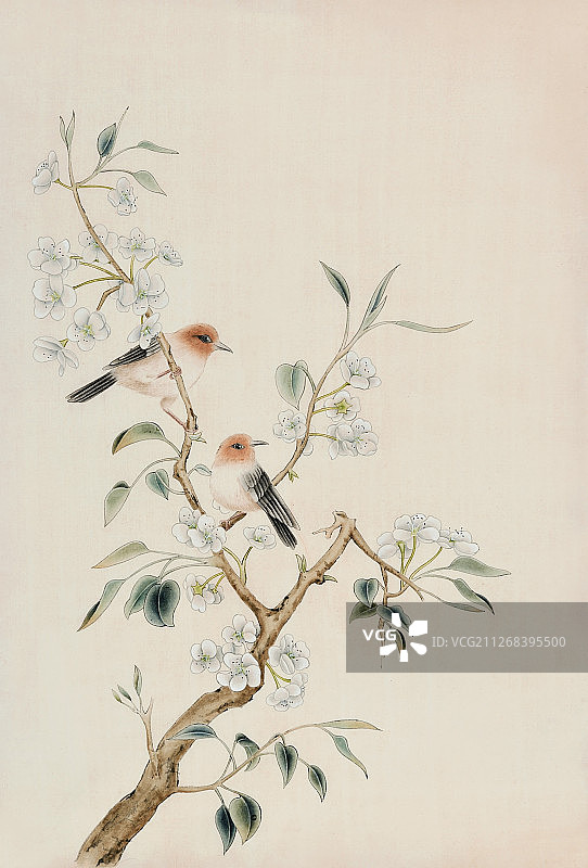 枝头情趣图片素材