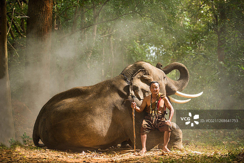 穿着传统服装的男人坐在森林里的大象腿上图片素材