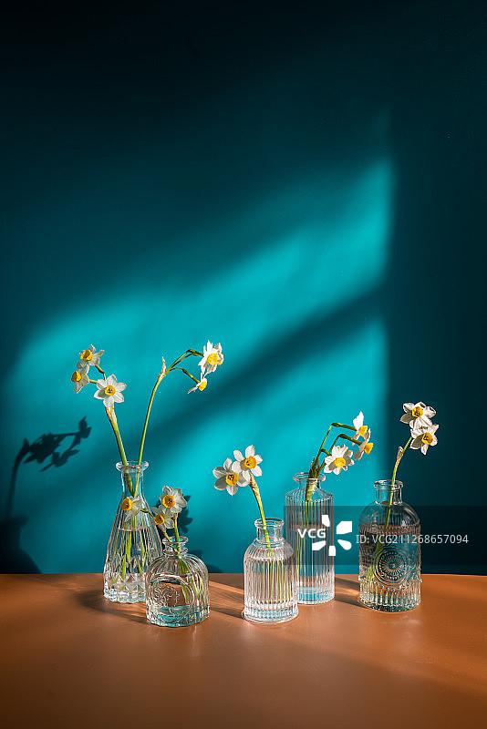 水仙花图片素材