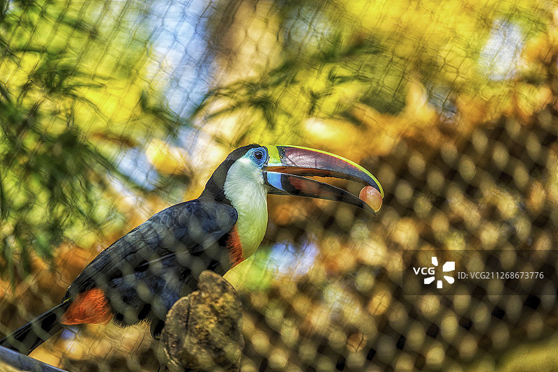 杭州动物园图片素材