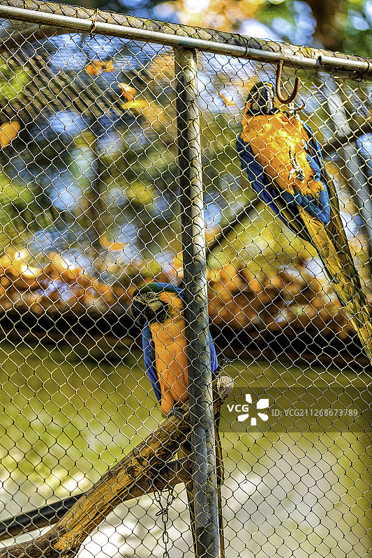 杭州动物园图片素材