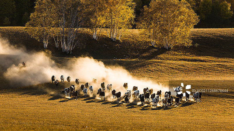 内蒙古赤峰坝上草原秋季风光图片素材