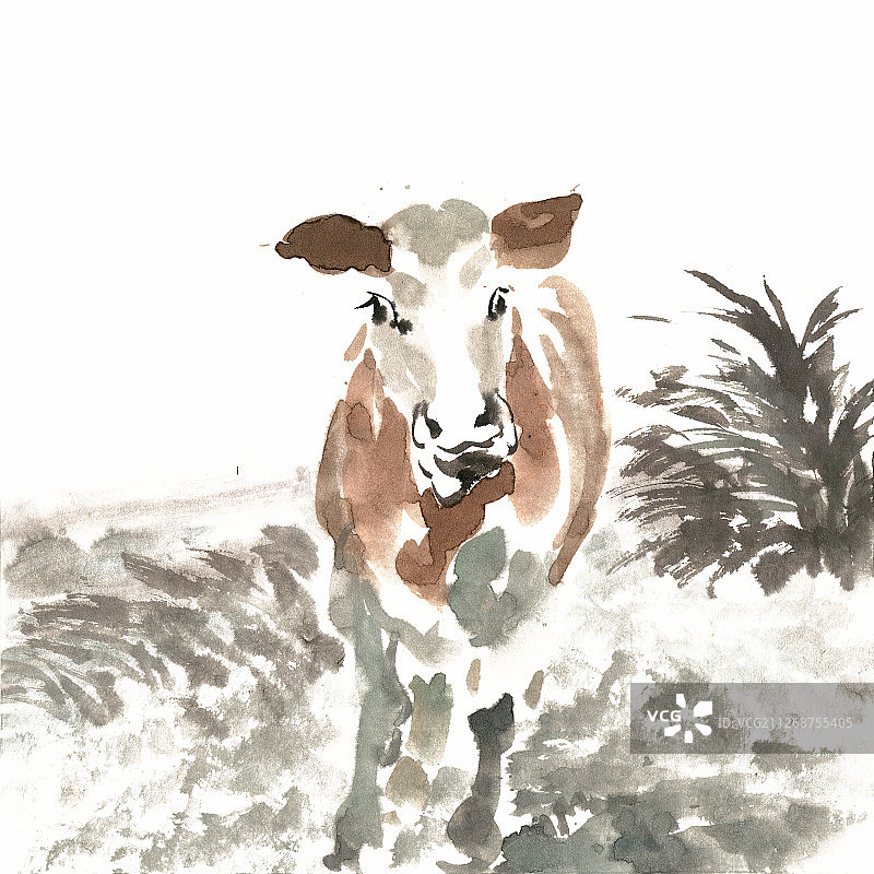 草地上的牛图片素材