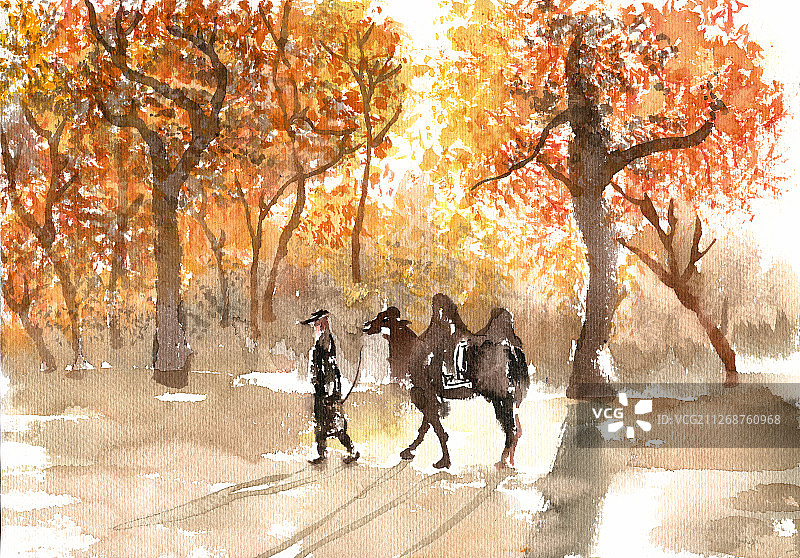 行走在胡杨林之间图片素材