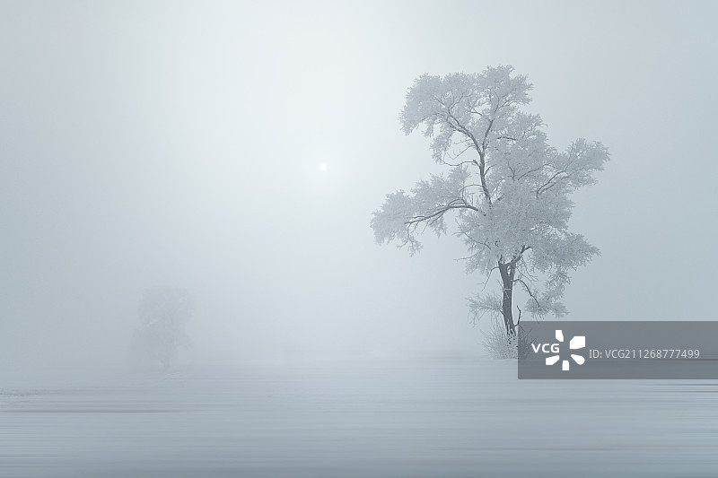 迷雾雾凇图片素材