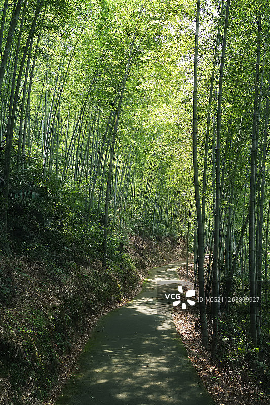 千泷沟瀑布图片素材